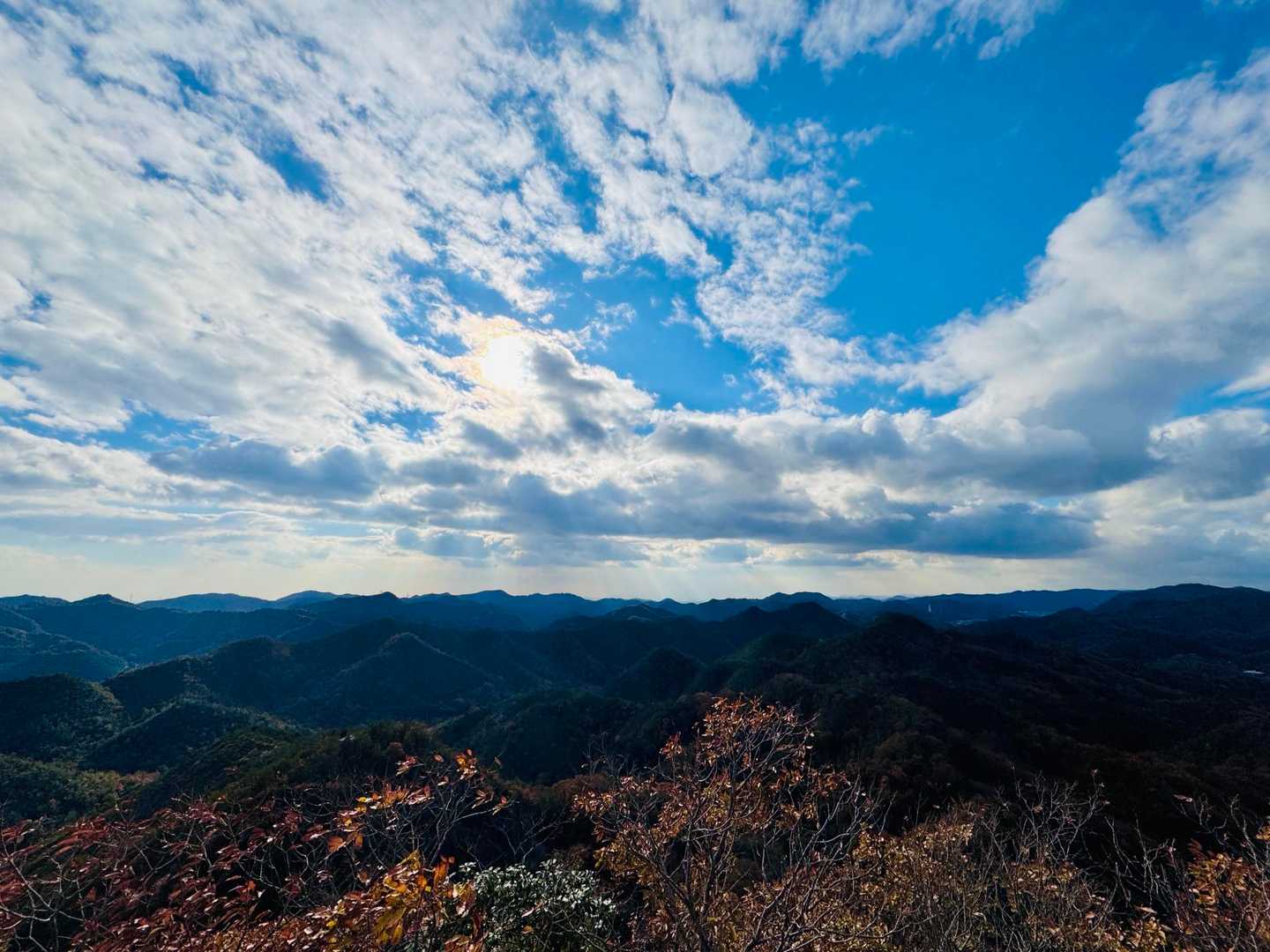 笠松山 往復コースの写真
