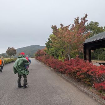 途中　
✨深命水✨を頂き
島根の山友さん達と交流🤗
深入山⛰️
紅葉🍁始まってます☺️