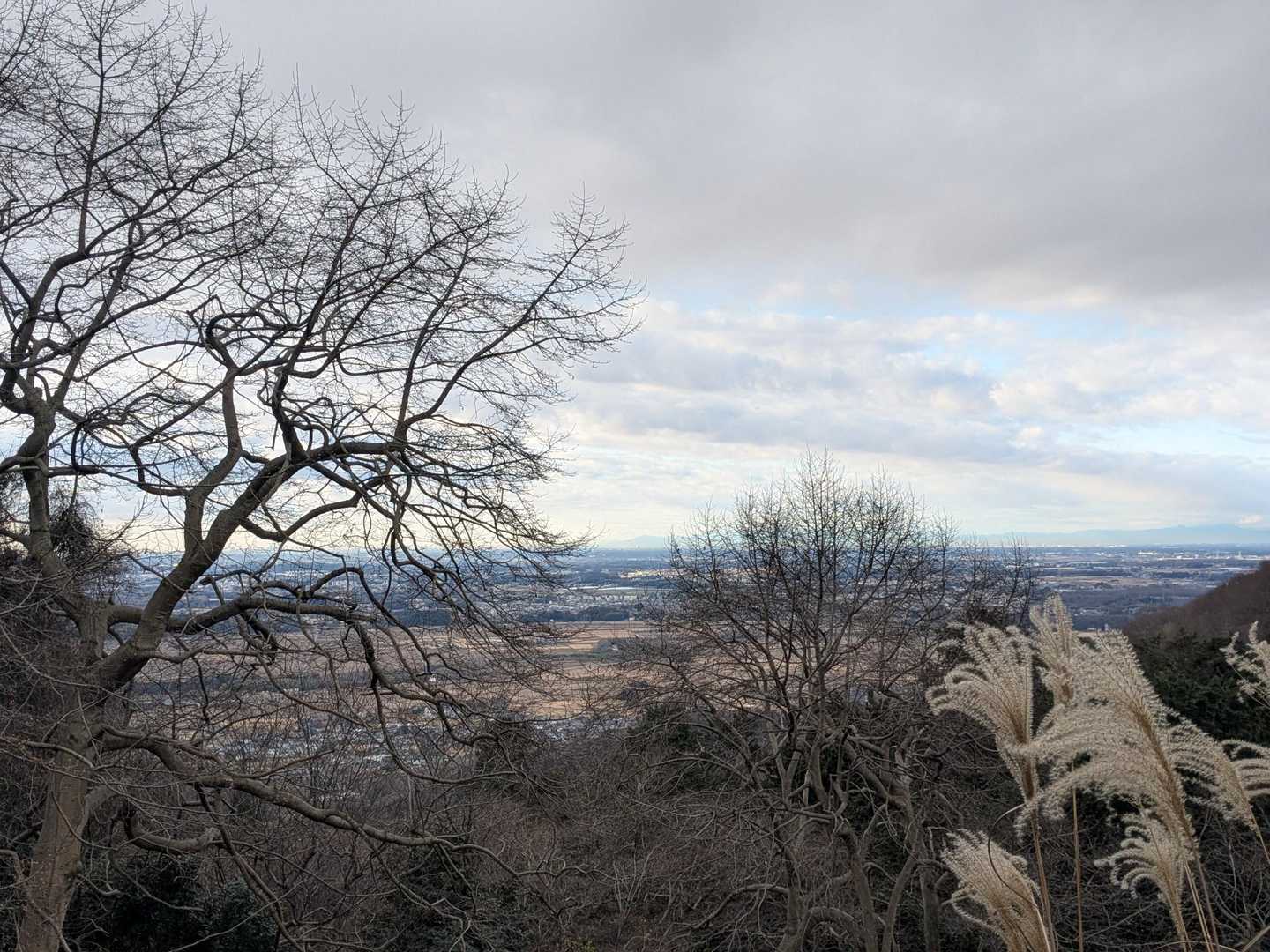 厚い雲に覆われ、残念ながら今年は富士山を見ることが出来ませんでした😰
毎年、ここでベンチに座り行動食を食べ水分を補給します😊