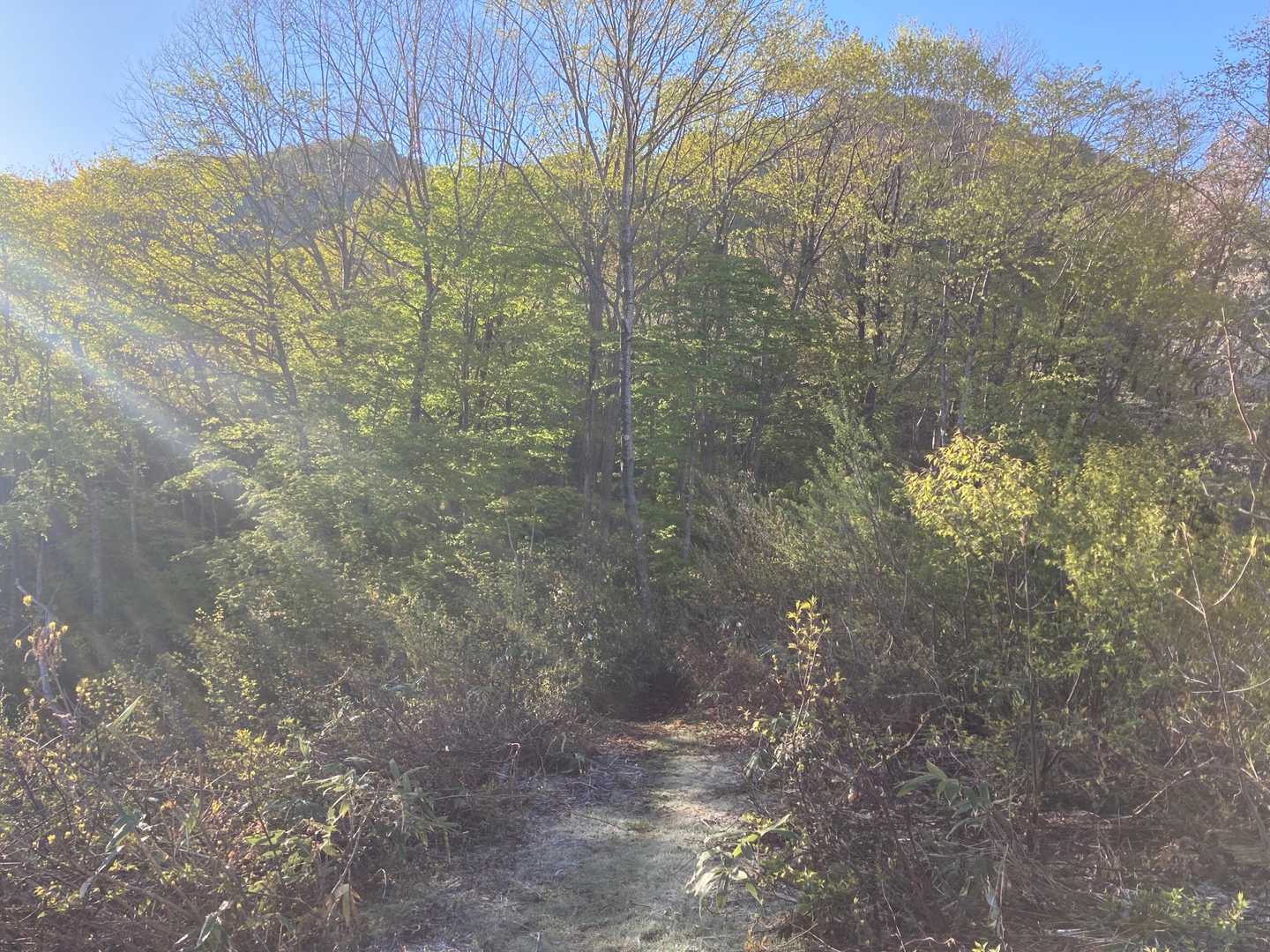 小野岳本山は右かな?🤔