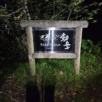 登山口にかっこええ看板

この三連休、もともと泊まりで仙丈甲斐駒を考えてました
でも、まだ病み上がりのかみさんを置いて、また何日も家を空ける事に抵抗があって迷ってました🤔
でもアルプスには行きたいな～