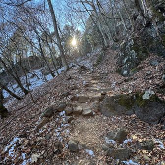 日陰は凍結あり