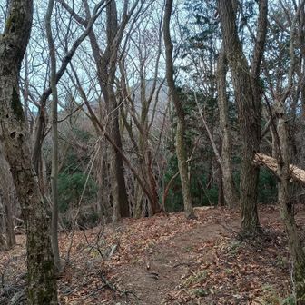 これから向う飯盛山が見えてきた！
確かに茶碗に飯を盛っているように見える