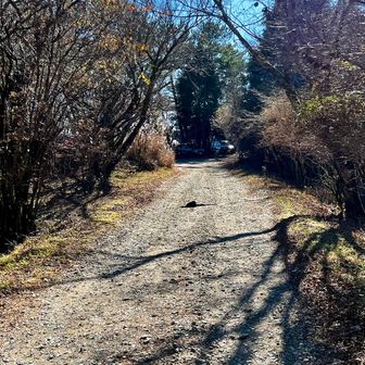 足柄峠第ニ駐車場🅿️