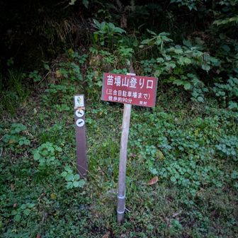 舗装された林道を延々と歩くとようやく1合目の登山口だった。秋山郷の集落からここまで標高差300m。駐車場がある小赤沢3合目までは500m。車から降りたばかりの、登るぞ〜とテンション高めなグループを横目に既に半分へばってた自分は何とも言えない心境だった笑