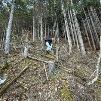転がり落ちないよーに