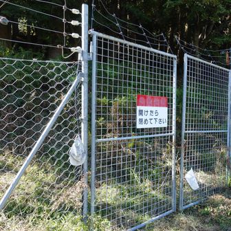 下山は結構長かったのですが、やっと降りてきました。