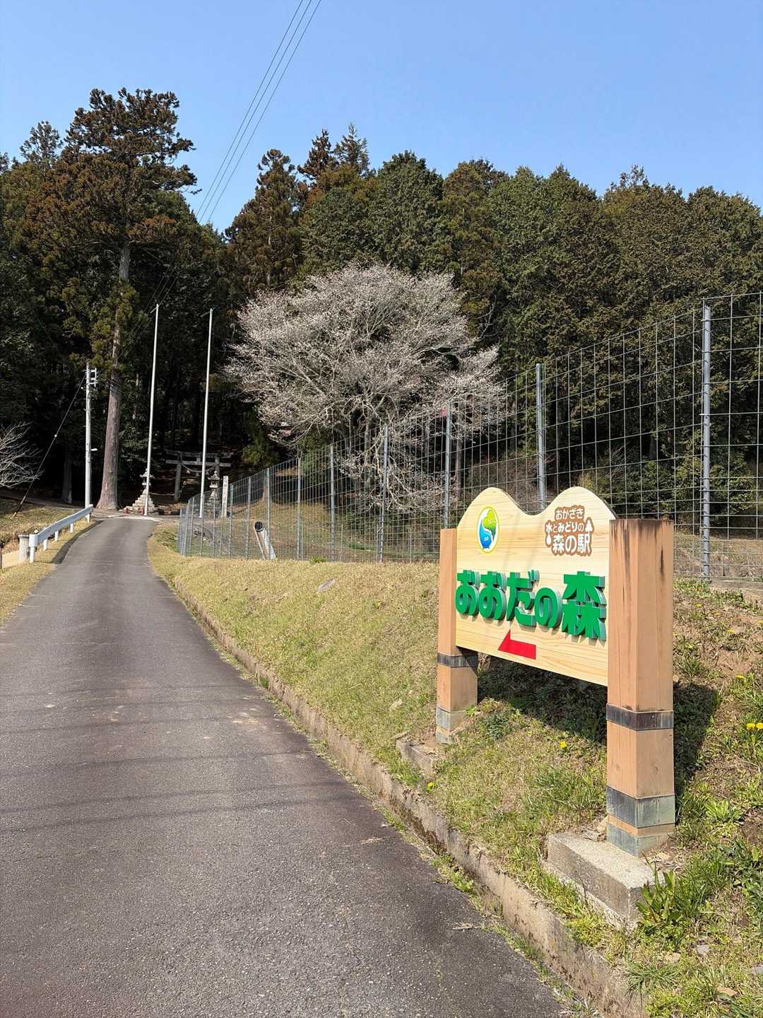 鬼沢神社の入り口
駐車場へはココから⬆️↖️