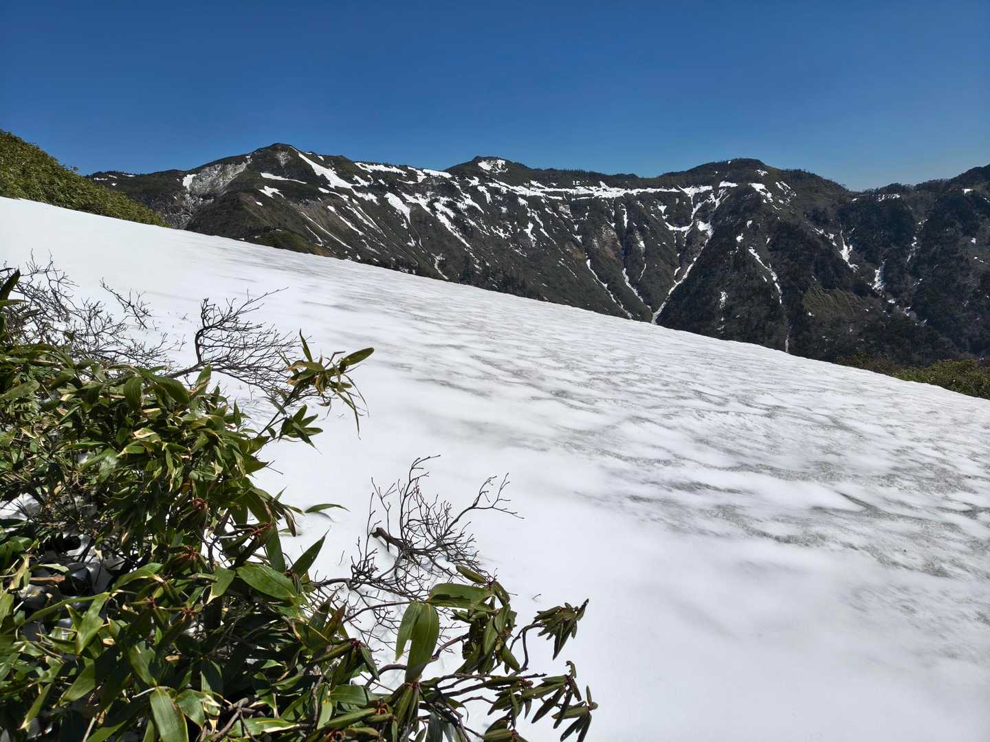 西峰越えてからはまだ残雪エリア有り