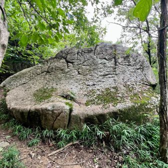 カエル岩
どっちが頭？多分右？？周りは人通り少ないせいか草ボーボでした🌱