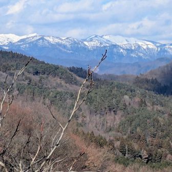 雪をかぶった山々が美しい