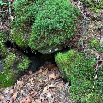 風穴前に座り､背中を冷やしながら休憩