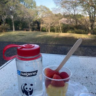 低山ハイクでも山頂でちゃんとおやつタイム♪