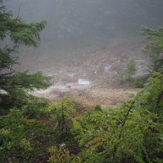 本沢温泉の露天風呂
初めて見ました
本当にワイルドです