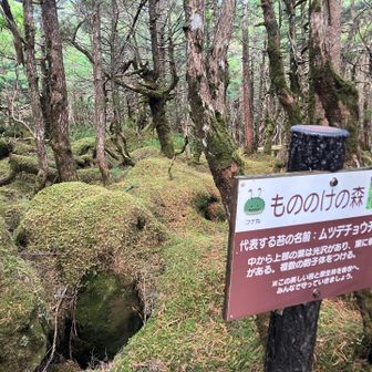 白駒池散策。
