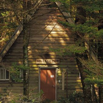 トトロみてえな小屋
木漏れ日が柔らかくて大変良い