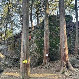 今日は七代の滝に寄らない代わりに天狗岩を上ってみる🪨