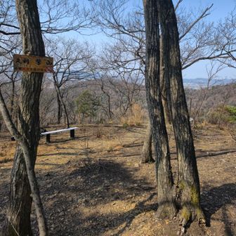 紫山
先程誤って両崖山から降りてしまったため少し遠回りし登ってきました