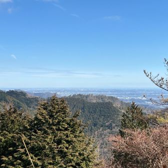 反時計回りで登りました。見晴台から。