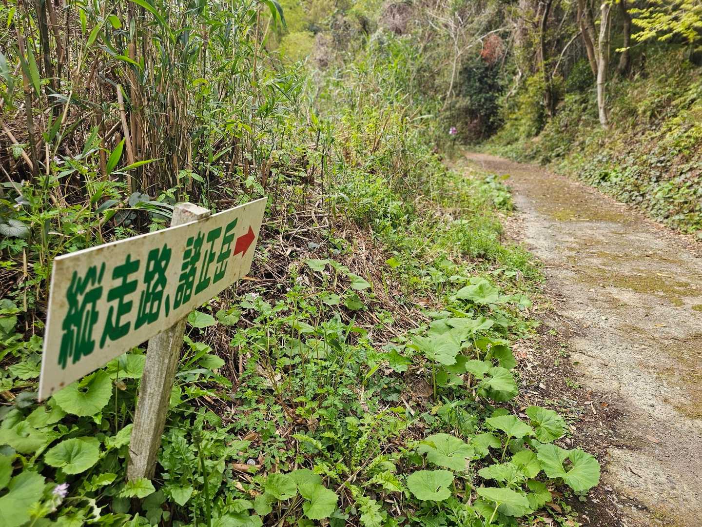 次は、諸正岳へと🚶‍♀️🚶‍♀️