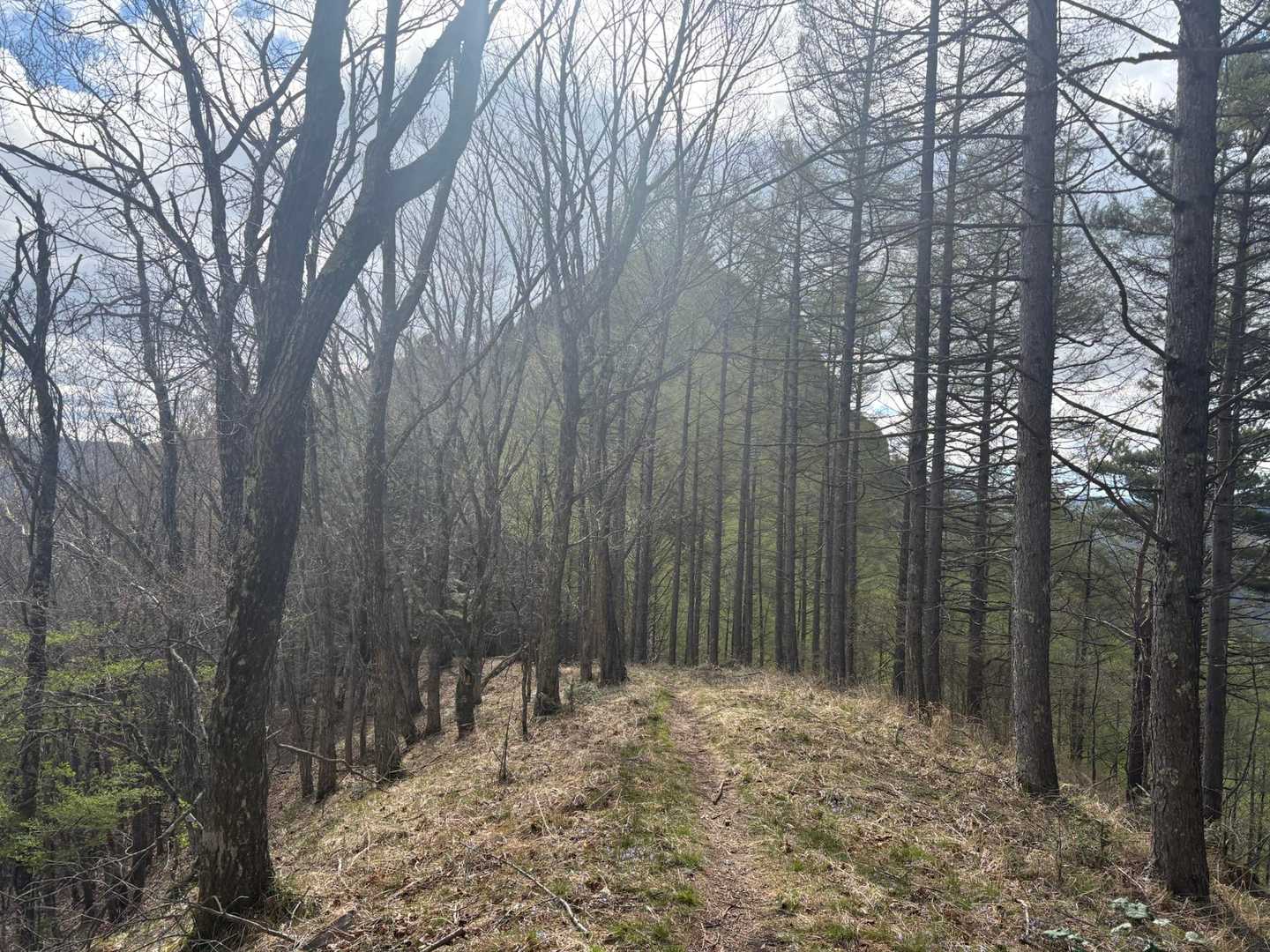 先に天狗山へ挑む。