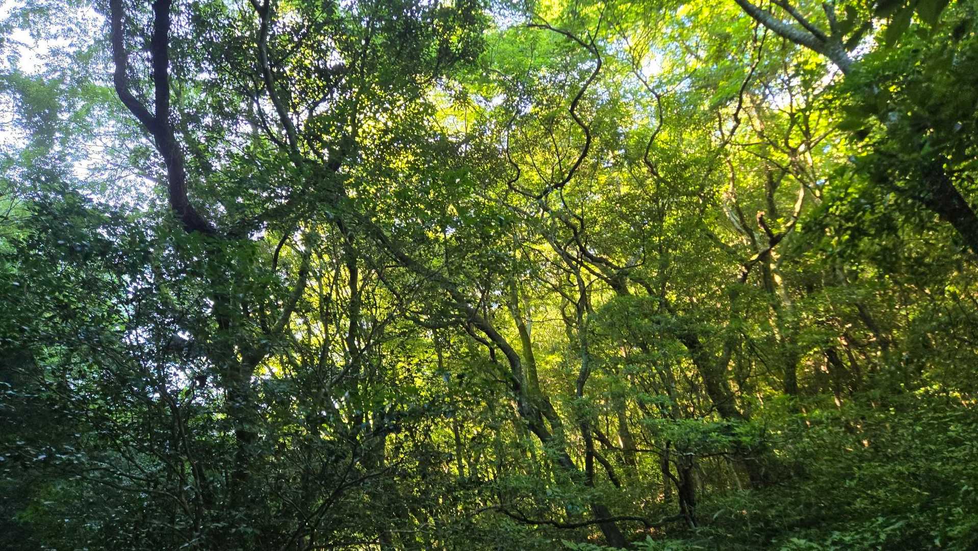 尺岳 往復コースの写真