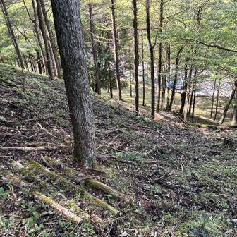 途中から下に駐車場見えたので
ショートカット