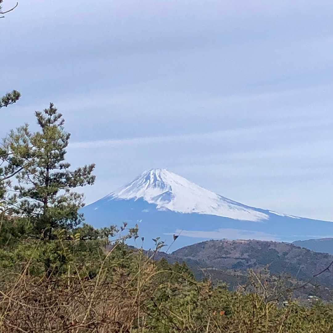 山頂からは富士山。
伊東から裾のも見えるのは珍しいのでは？