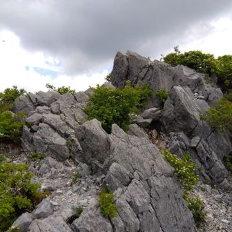 てっぺん⛰️
怖いのは、最初だけ〜😄
写真撮って欲しかったけど、タイミング悪く、誰もいないかったのが残念😆