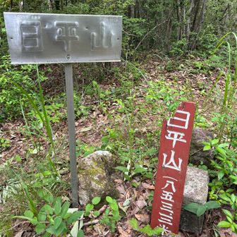 四座目⛰️日平山登頂です
臼杵市山岳会の皆さまありがとうございます