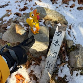 𓅿𓅿𓅿「三角点はあるの💡」