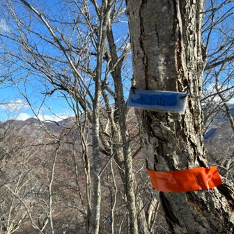 フロマージュさんの山名板