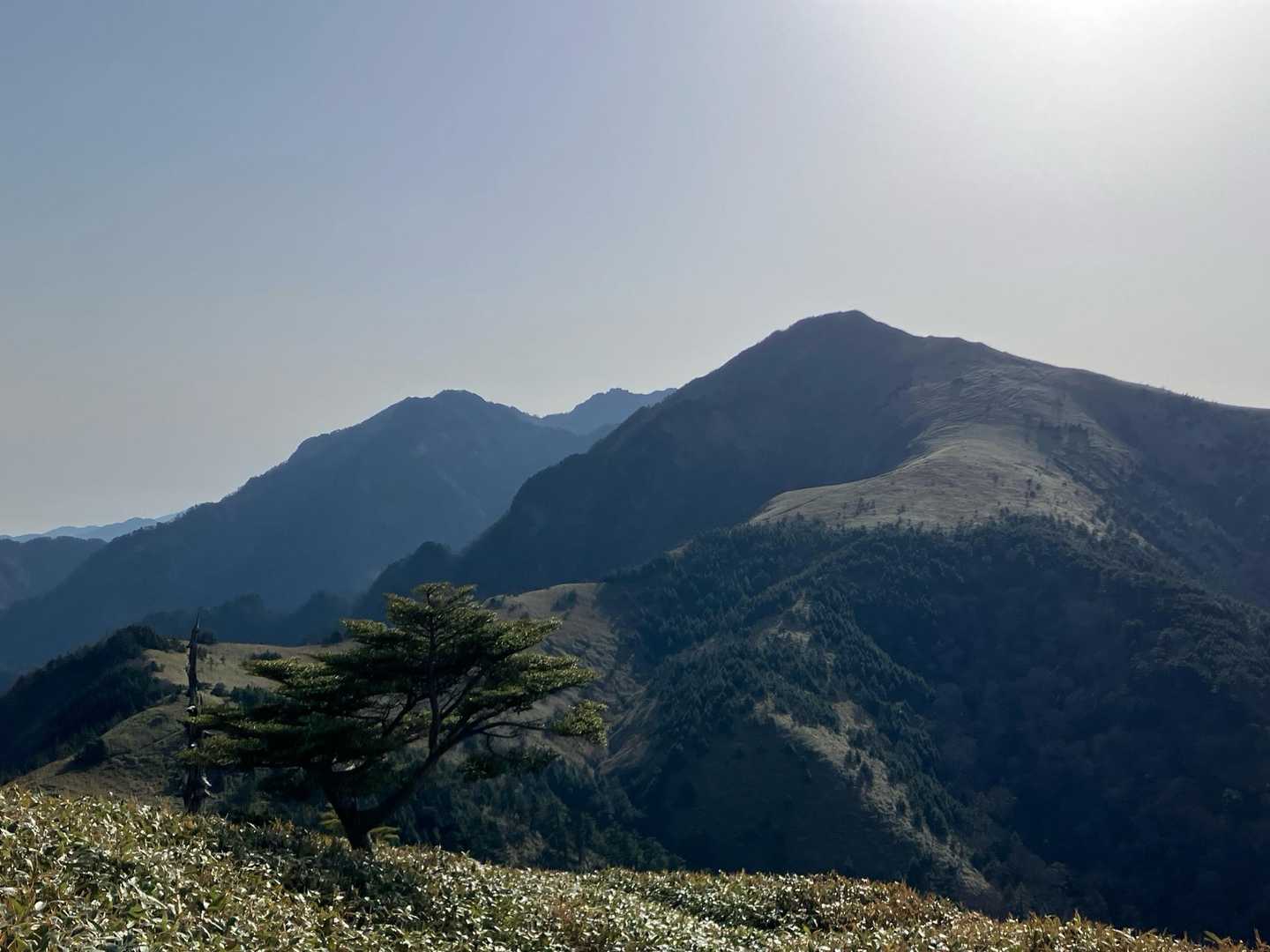 いつ見ても惚れぼれする光景