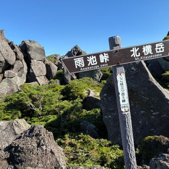 着🙌