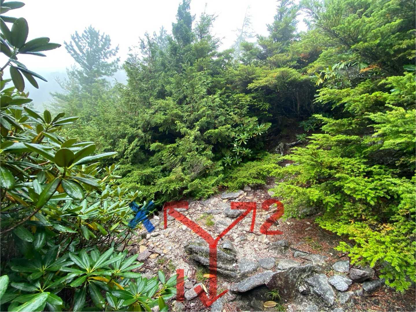 2つ目の道迷いポイント(2,198m)
※1→金峰山荘、2→小川山、青→ミスルート。