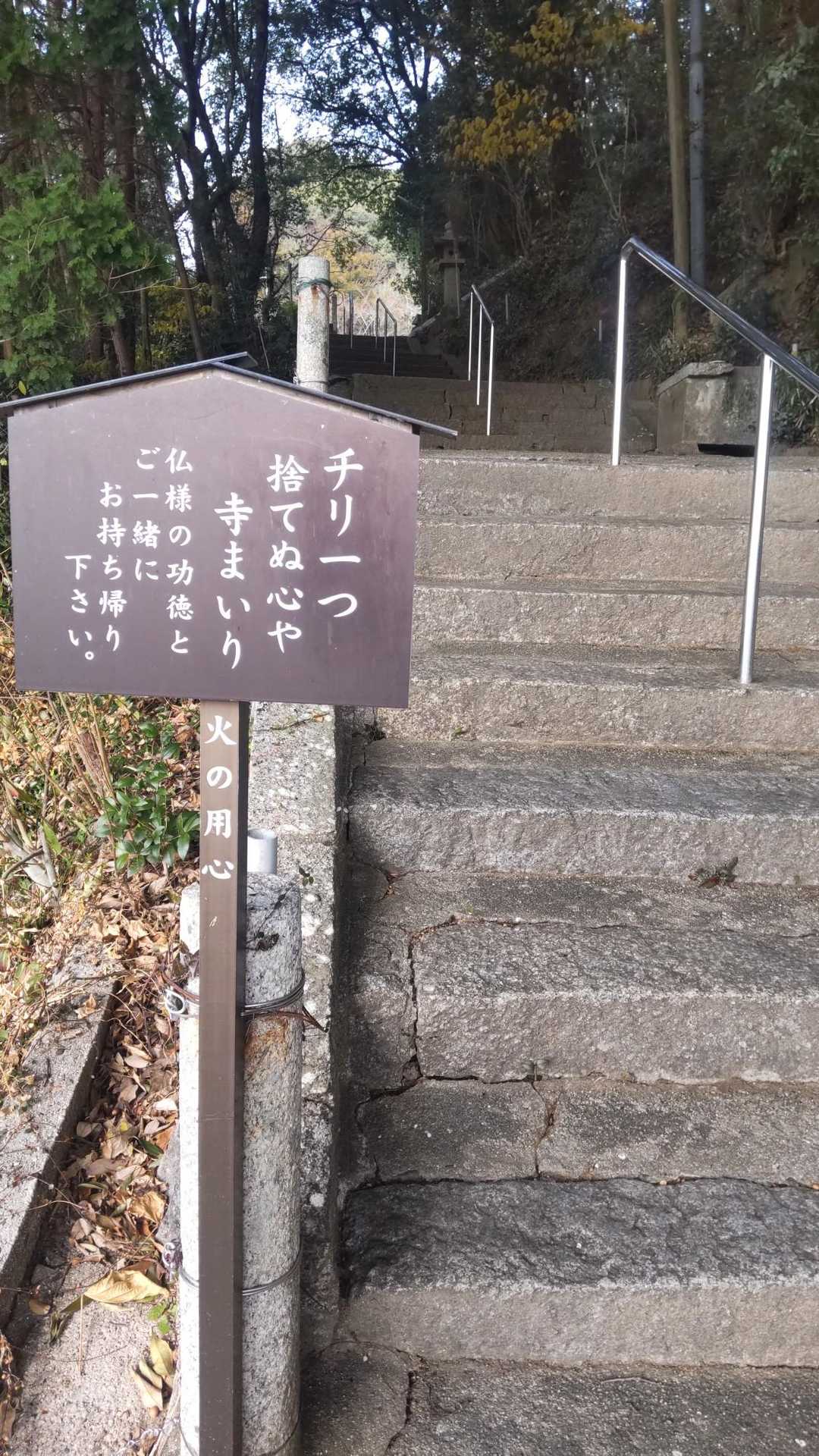 こちらから上がります！