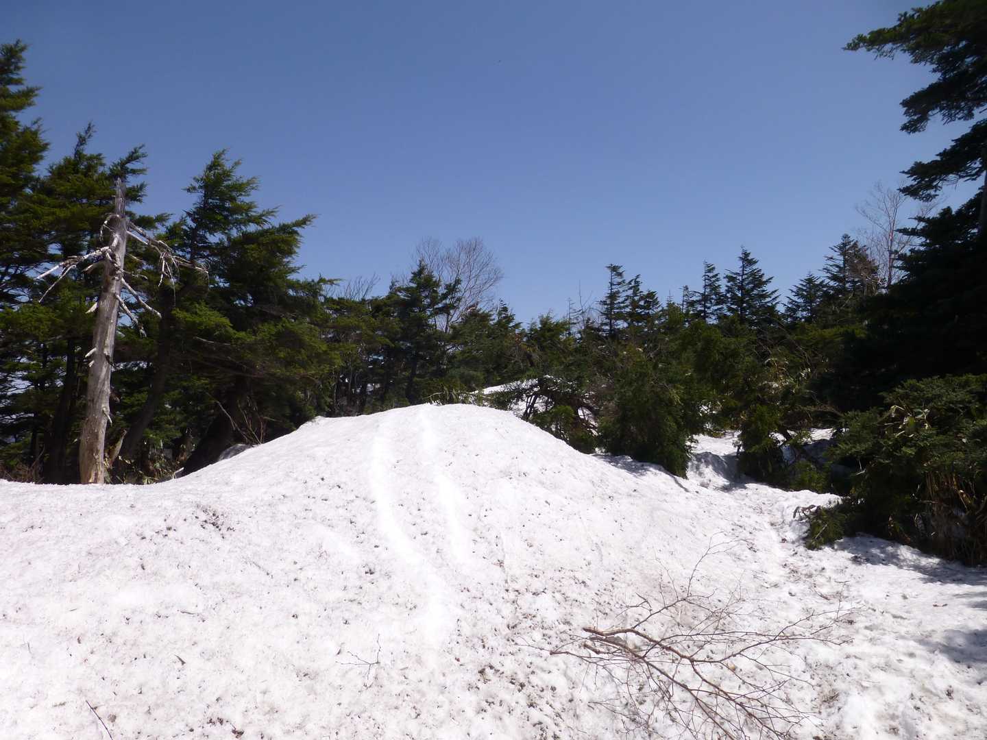残雪でルート見失いに注意
ピンテ、小さな看板があります
雪はしまっていたため、ずぼりませんでした