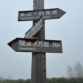 霧が立ち込める