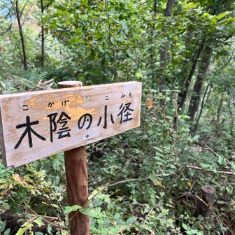 光城山に戻ります。