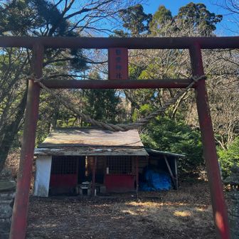 これからはちゃんと小銭持ちます🐸
