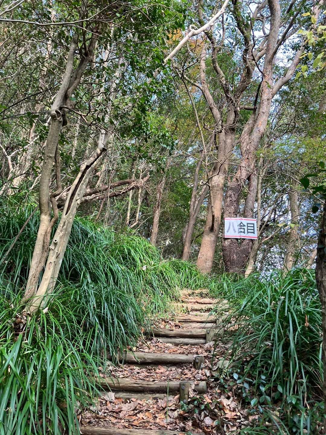 登る…🚶💦〜っと　いきなり　8合目の標識が…😄💦