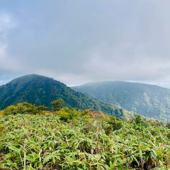 丈競山と浄法寺山の上雨降ってるかも…🙁