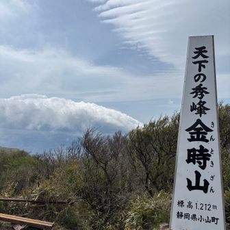 心眼で見える