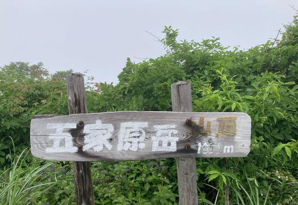 山ちゃん｜長崎県の登山記録 | YAMAP / ヤマップ