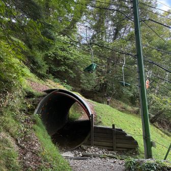 リフトの下を潜ります。リフトなら15分、1300円だそうです🚠