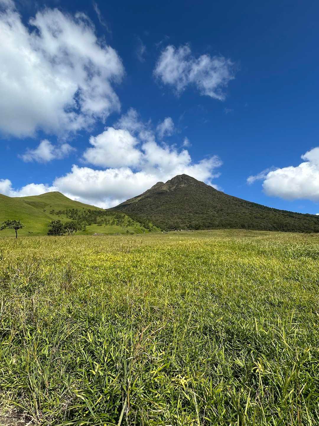 由布登山口バス停-正面登山口-飯盛ヶ城 往復コースの写真