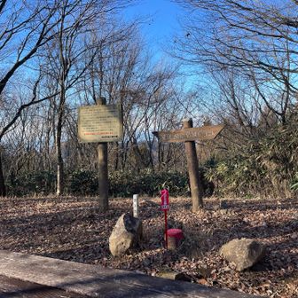 来た道を戻る、再び高峯