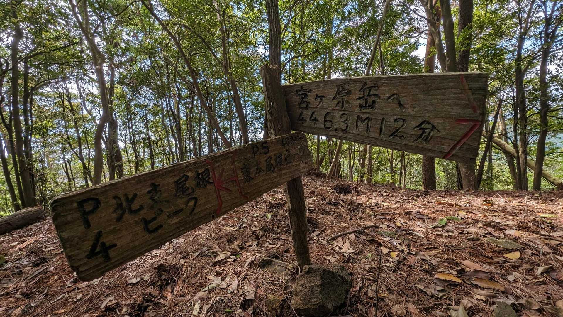普段道標の少ないところを歩いているので、ちょっと戸惑うくらい笑