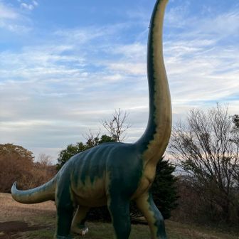 何サウルスかな？