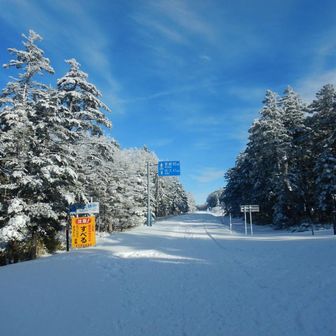冬季通行止めの国道を歩く